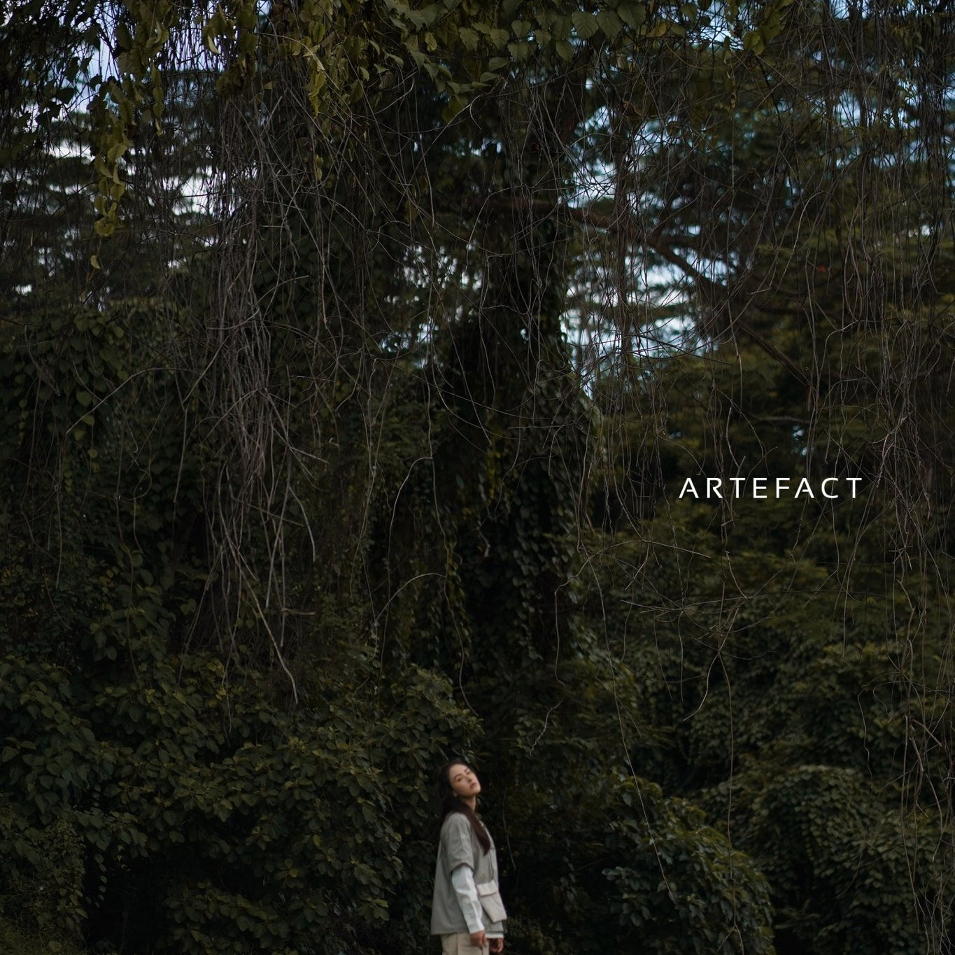 Nothing 'New' is made - G R A Y E