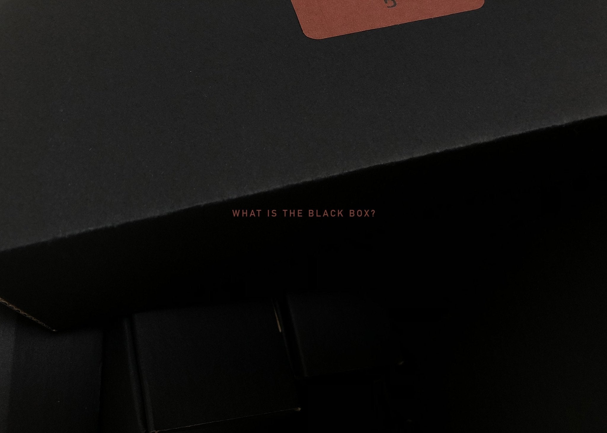 The Black Box  x  Chinese New Year - G R A Y E