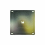 Anniversary Bandana - G R A Y E